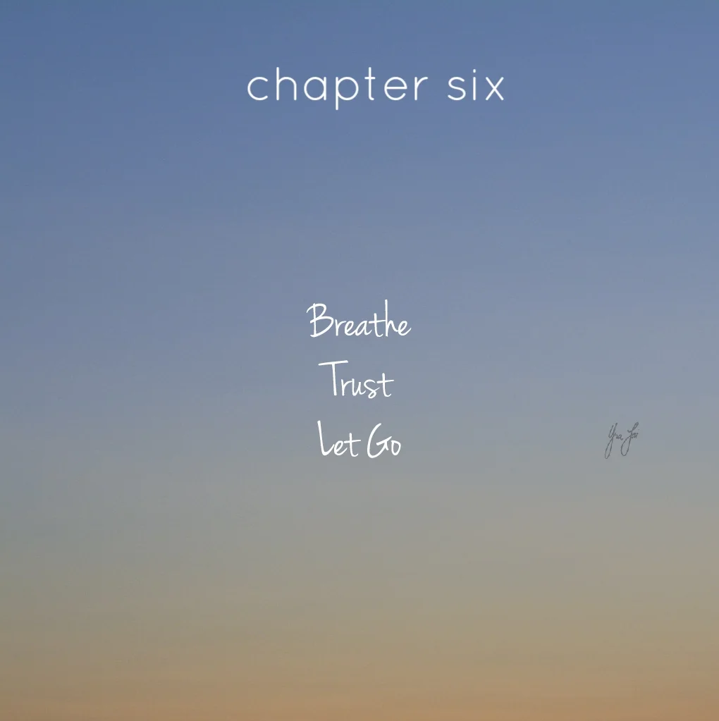 chapter six
