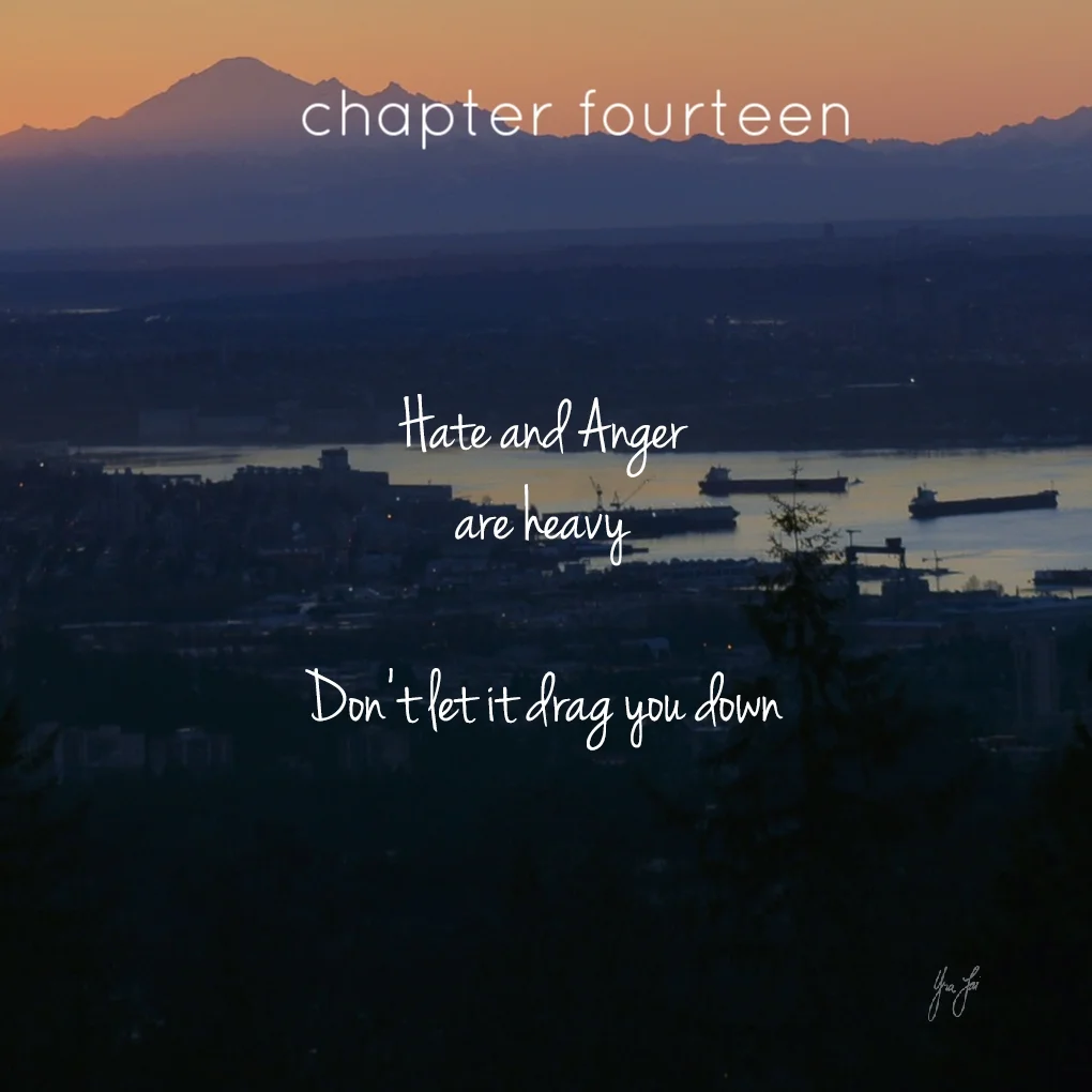 chapter fourteen