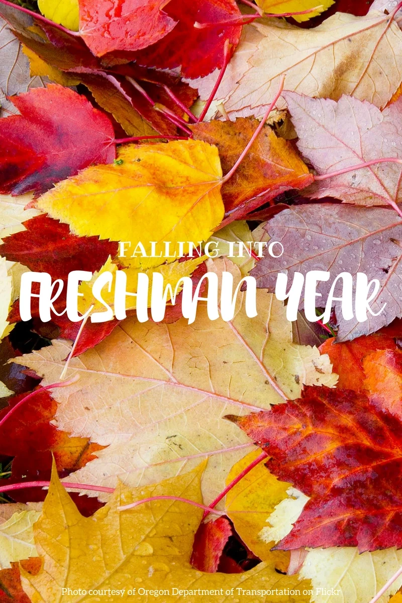 Falling Into Freshman Year