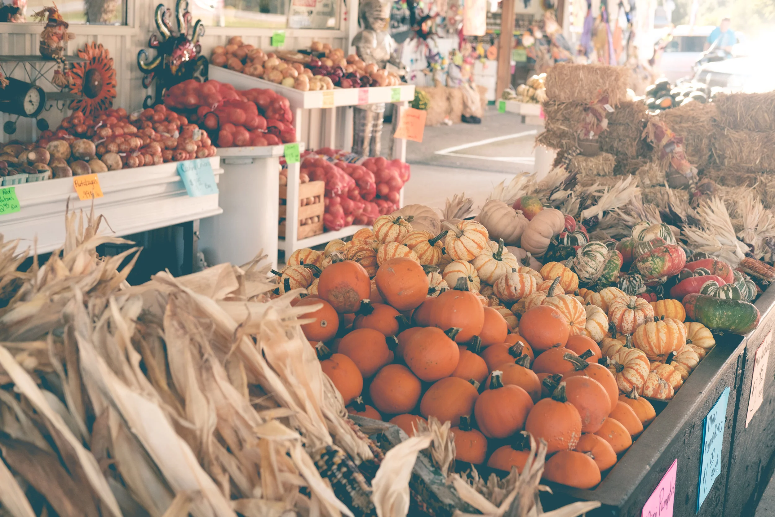 Healthy Fall Foods for Better Skin and Body Wellness