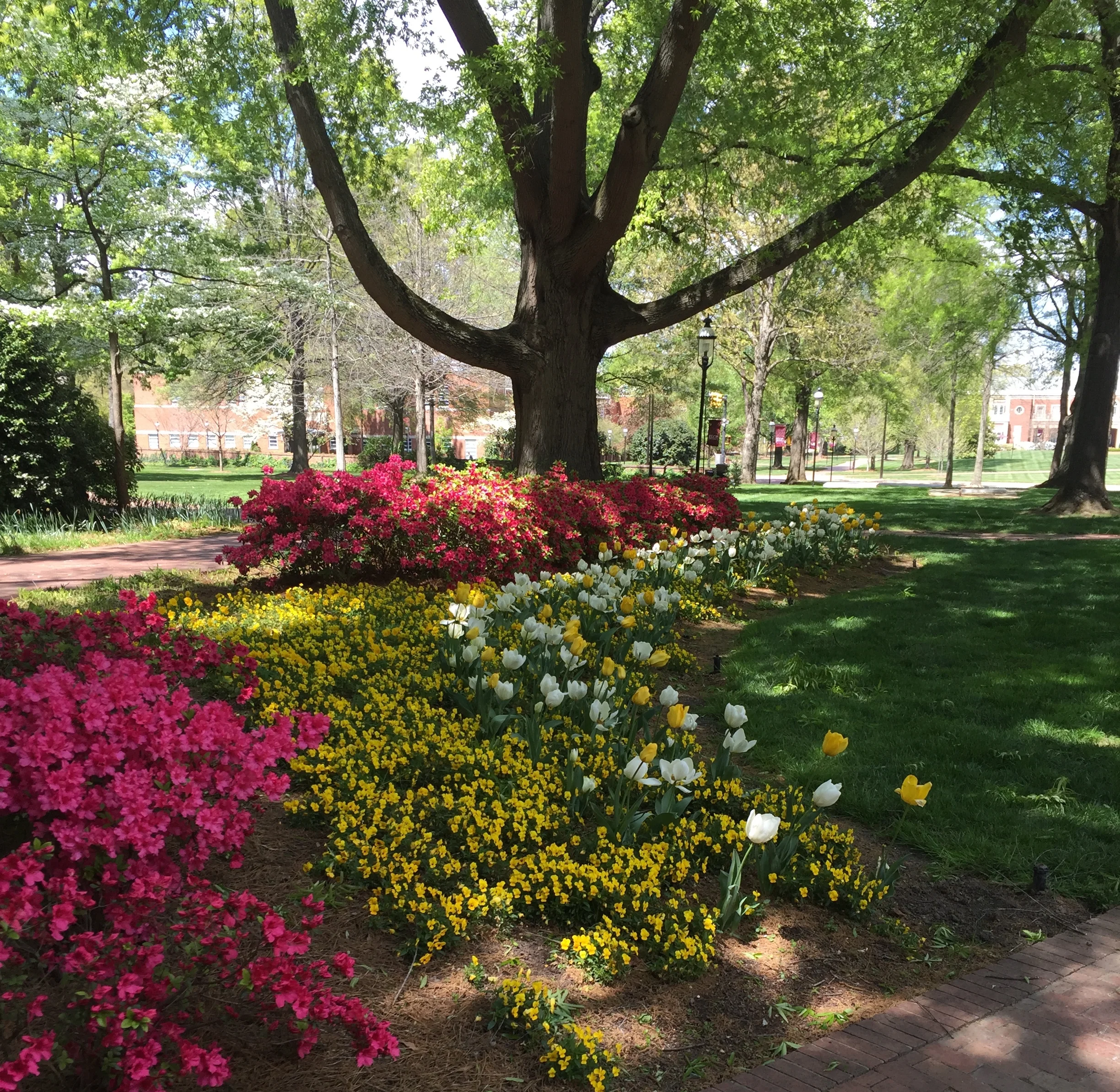 Easy Ways to Live Sustainably In College