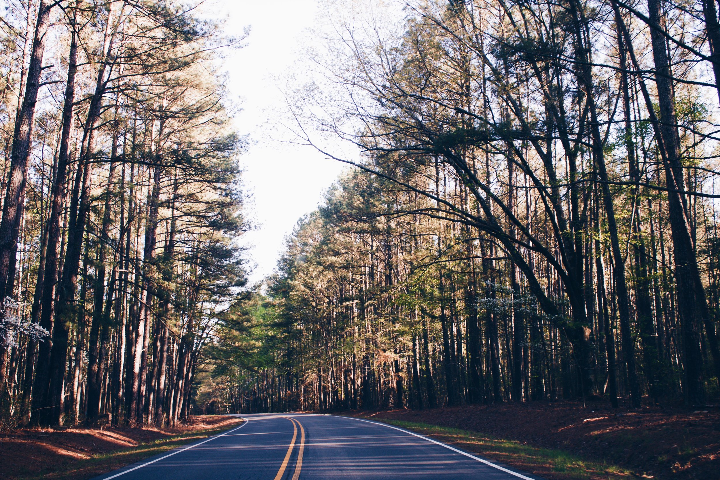 Travel Guide: Road-Trip Gems of North Carolina