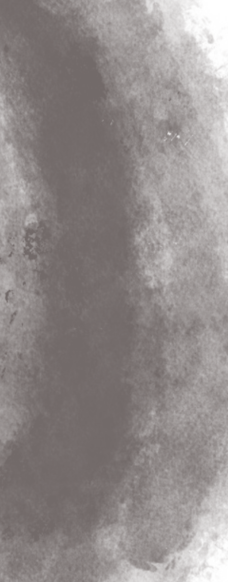 Vagina Talks: Health and Sex