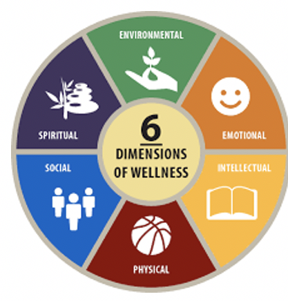 The Wellness Wheel 
