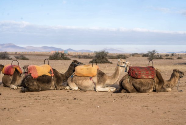 Affordable Dreamy Destinations