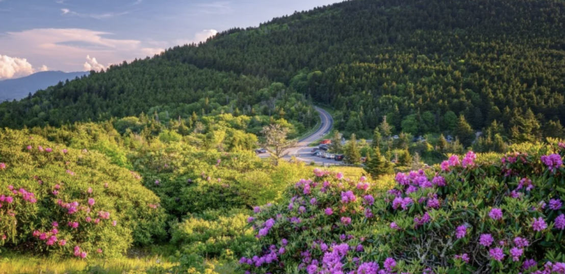 Best Spring Getaways 2022