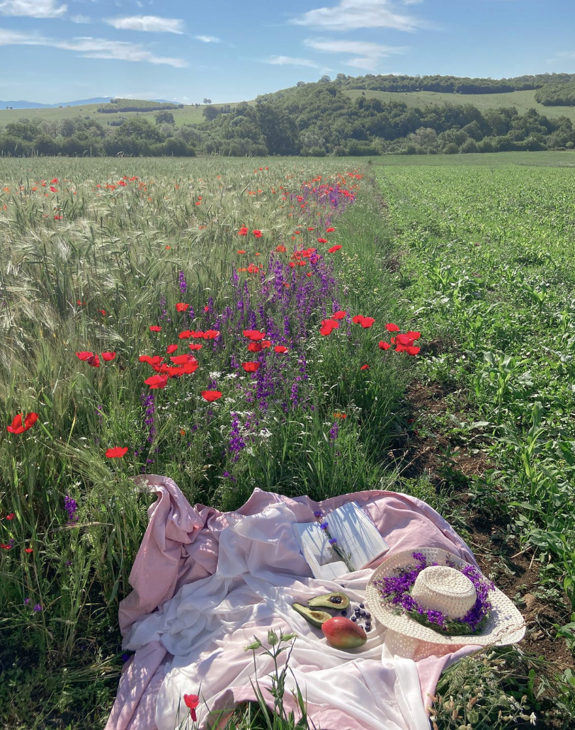 How to Host The Perfect Picnic