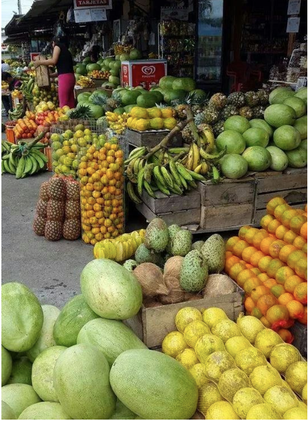 Eat your Way through Latin America: Ecuador 