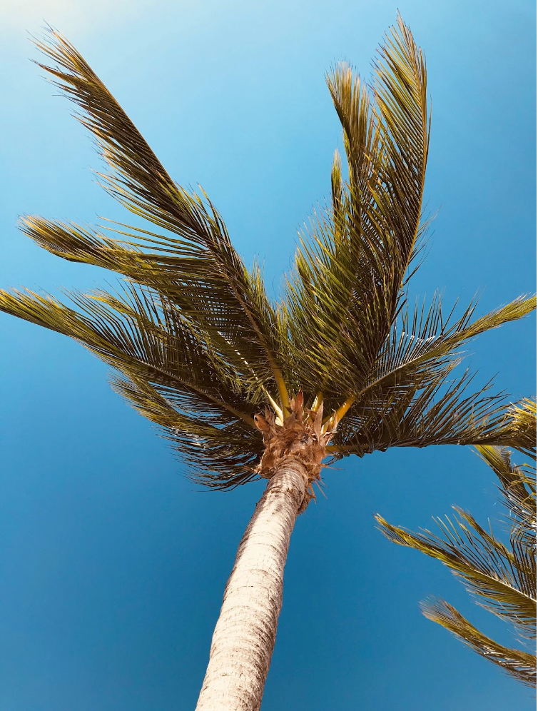 Spring Break Do's And Don'ts