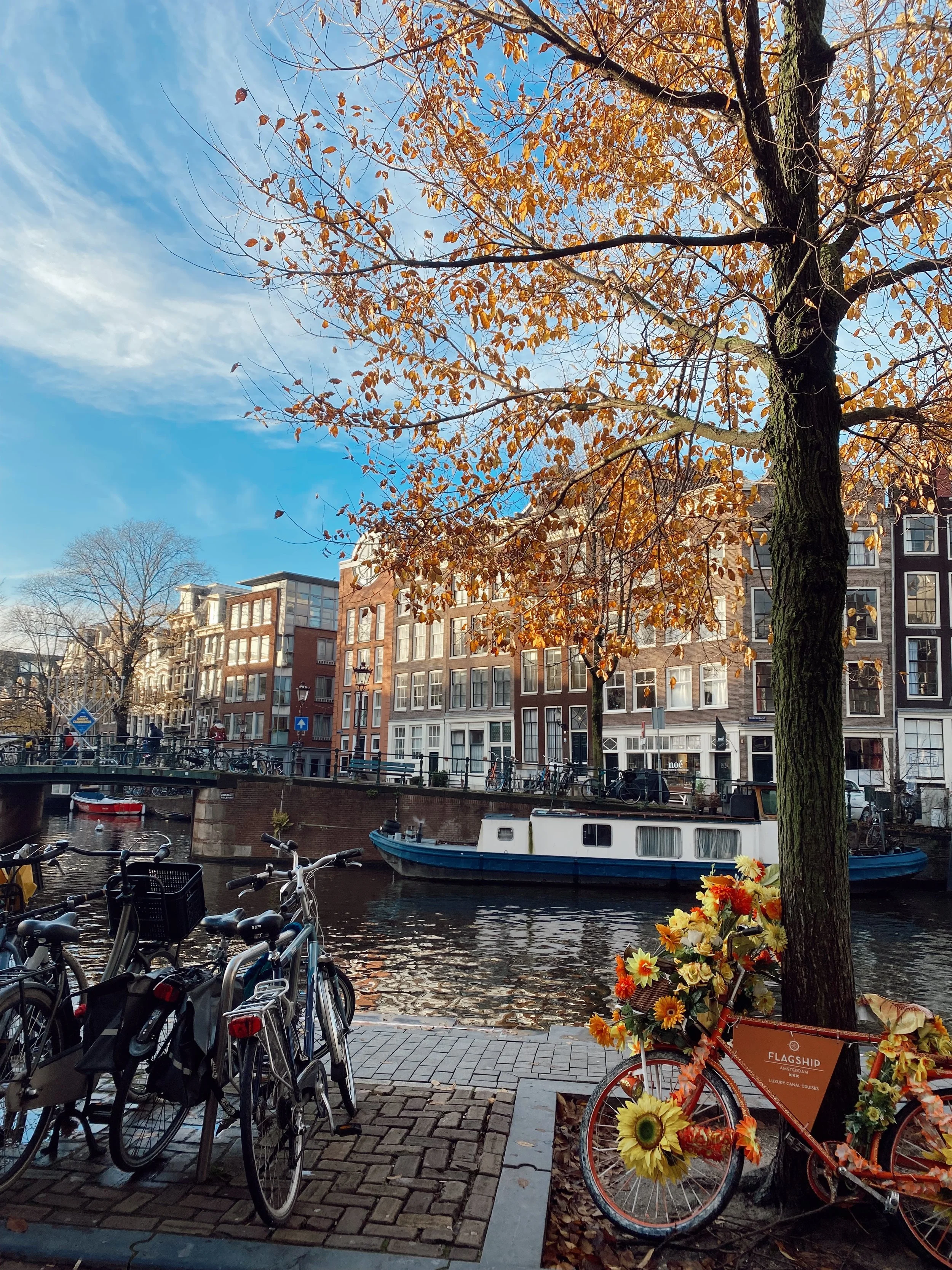 Your Weekend Guide To Amsterdam