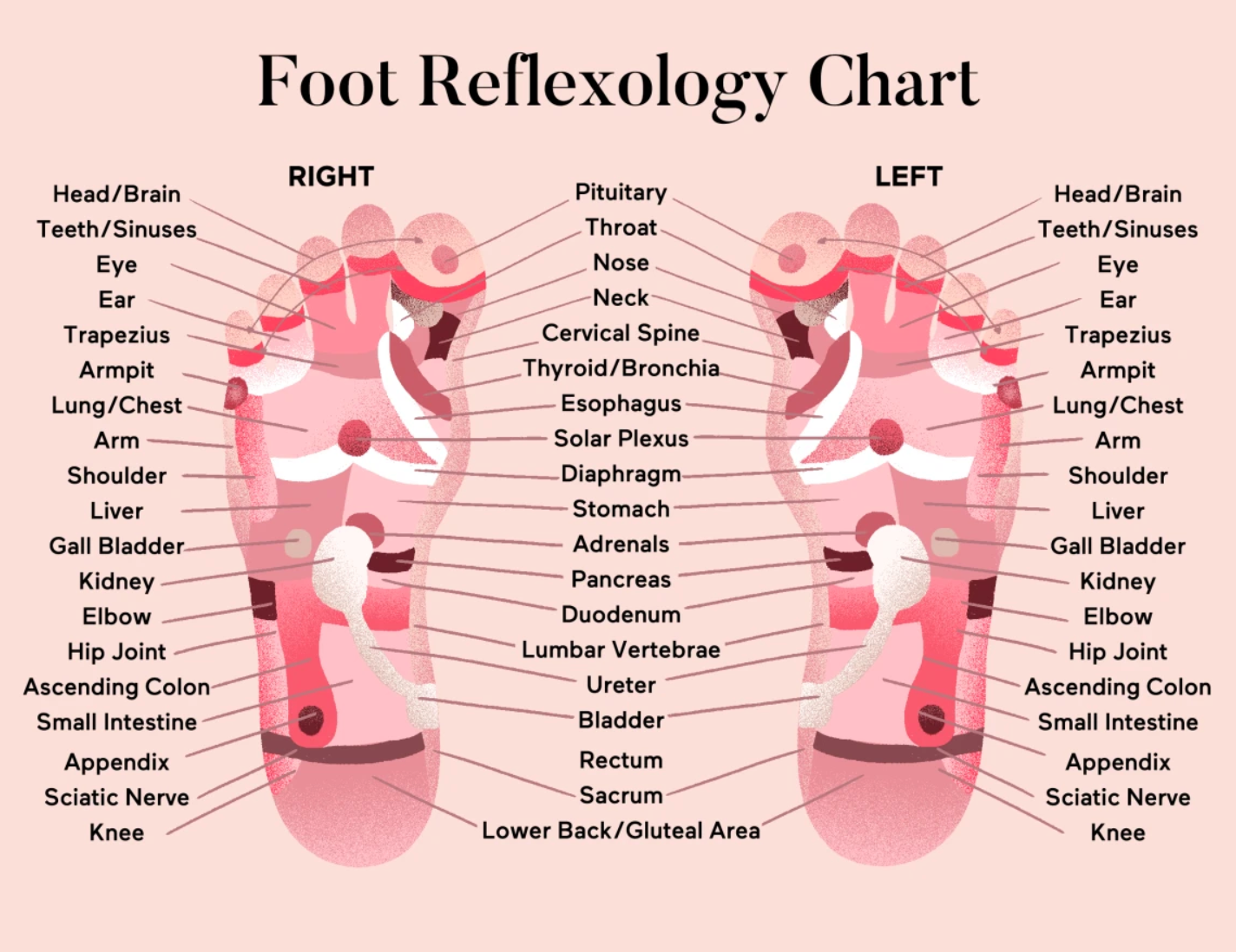 How Does Foot Reflexology Work?
