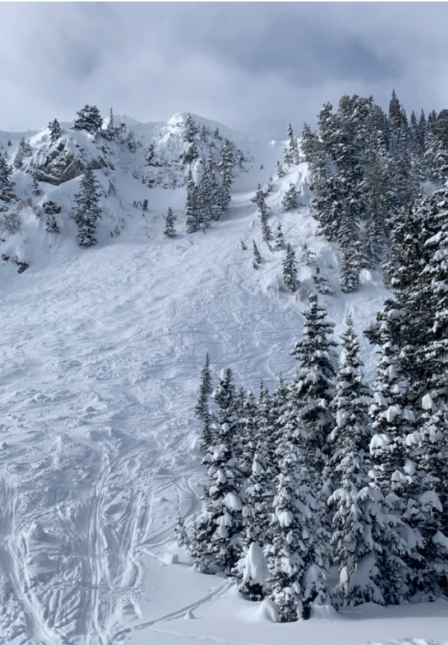 Looking for Powder Days? Look No Further.