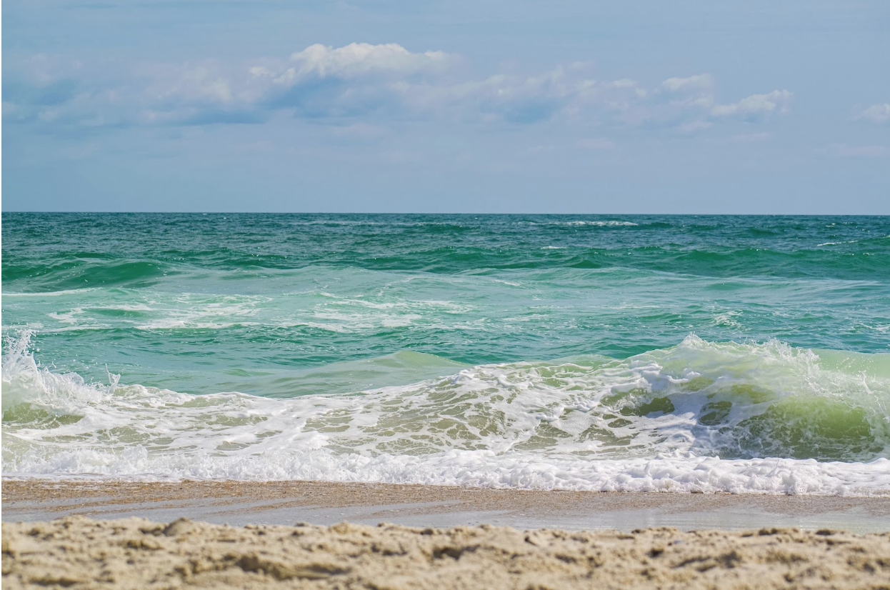 Getaway From Elon: Beach Trips