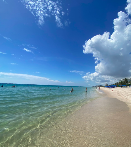 In Need of a Summer Bucket List?