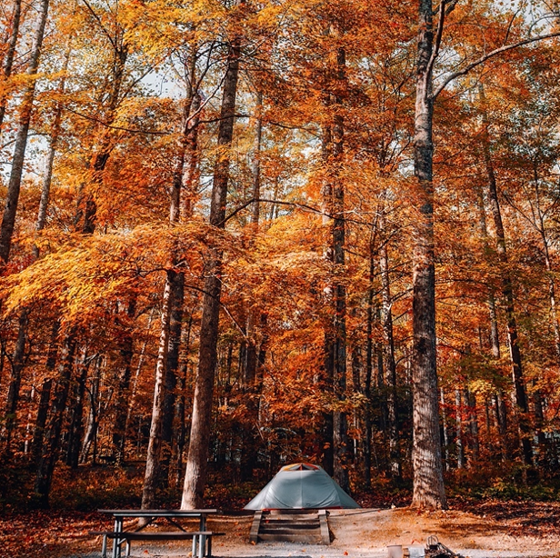 Getaway from Elon: Mountain Trips