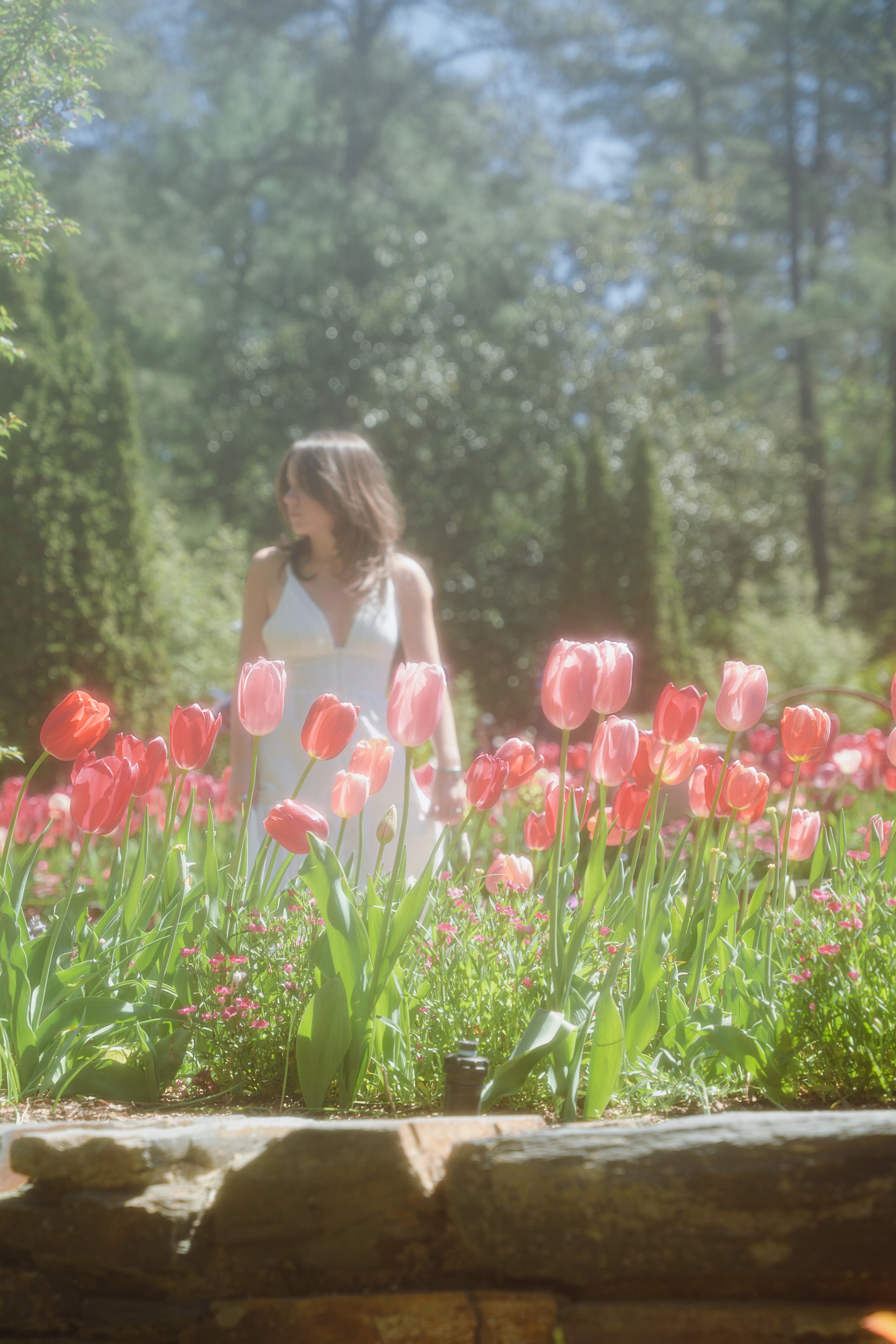Oh, Take Me to the Gardens