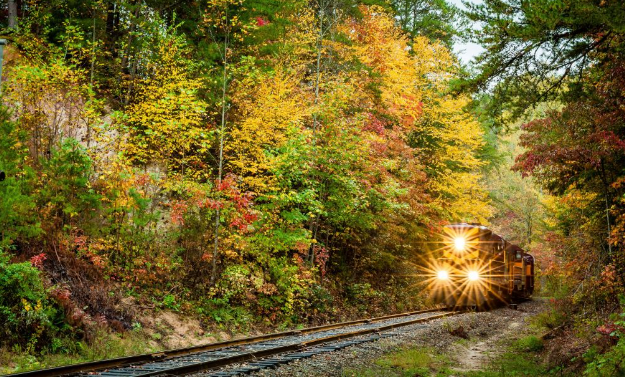 Falling Into the Season: North Carolina Fall Festivals 2023