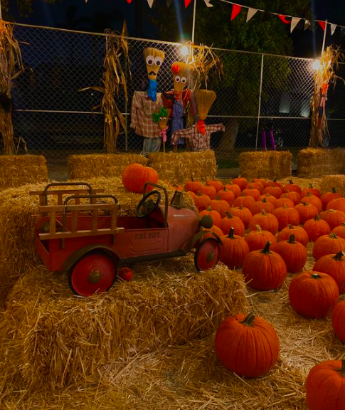 Pumpkins, Pasta and Flowers 