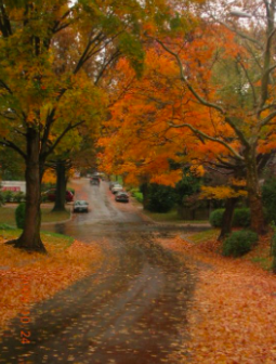 North Carolina: The Shortest Fall Out There