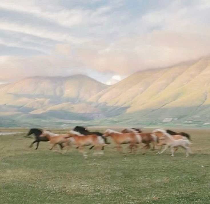 Riding Into the Year of the Fire Horse: Your Boldest Year Yet