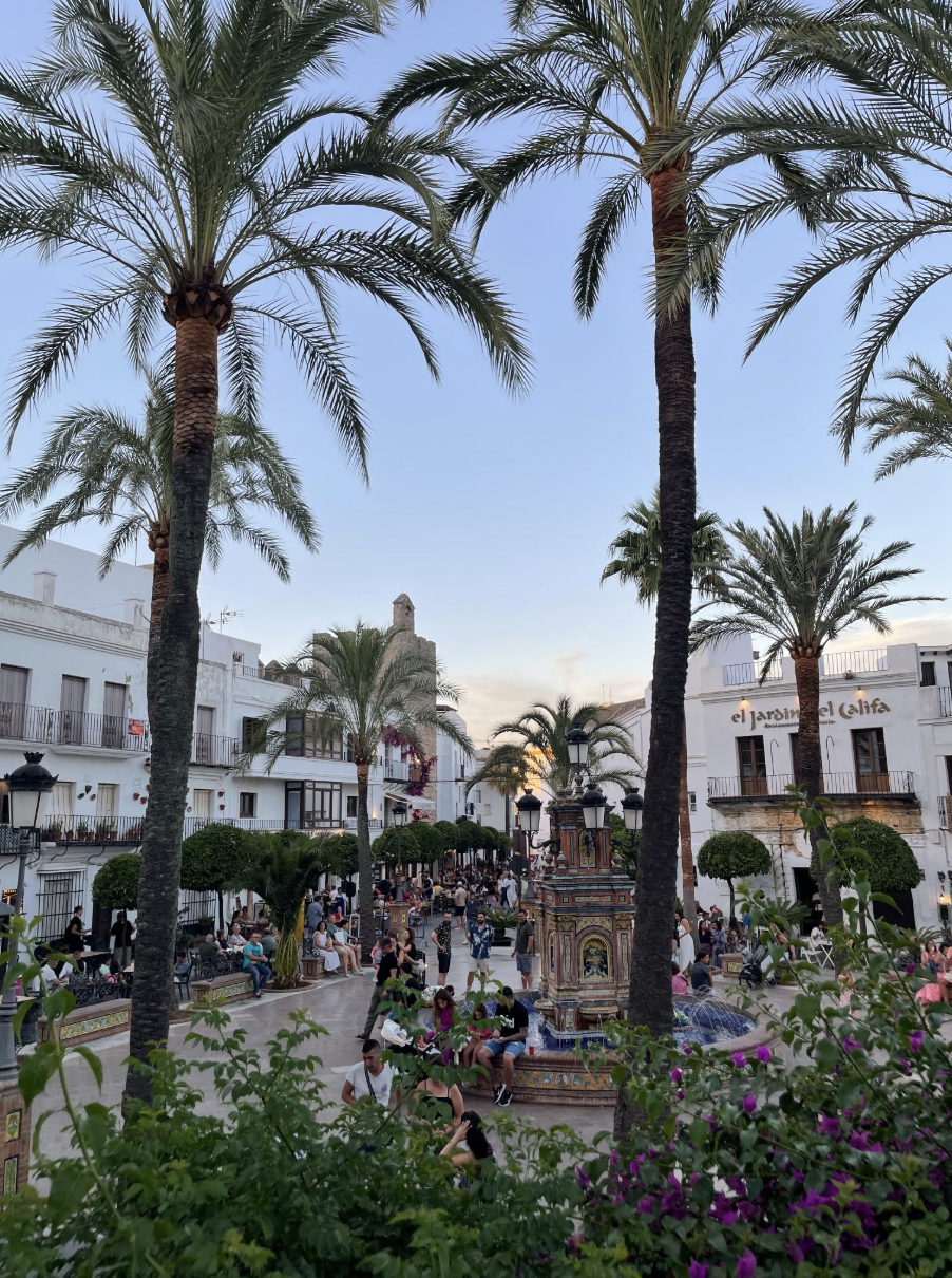Plazas, Spices and Palaces