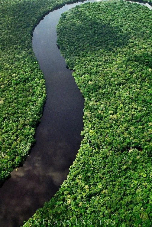 Ashe Dykes’ Journey Through the Congo Basin