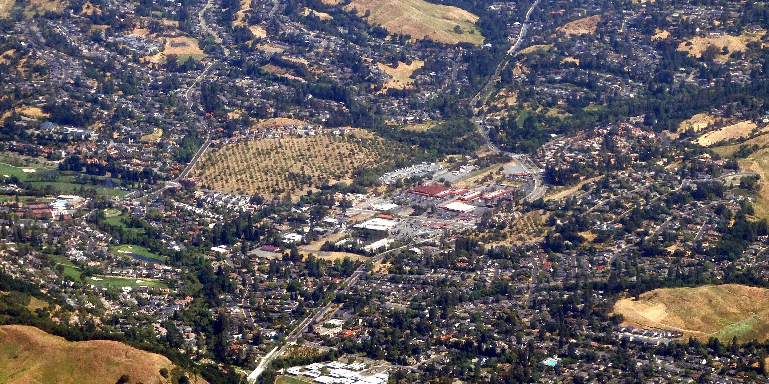 Moraga-community-Squarespace-banner-2500x1250.jpg