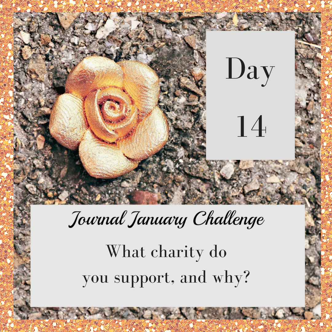 JournalJanuary14.png