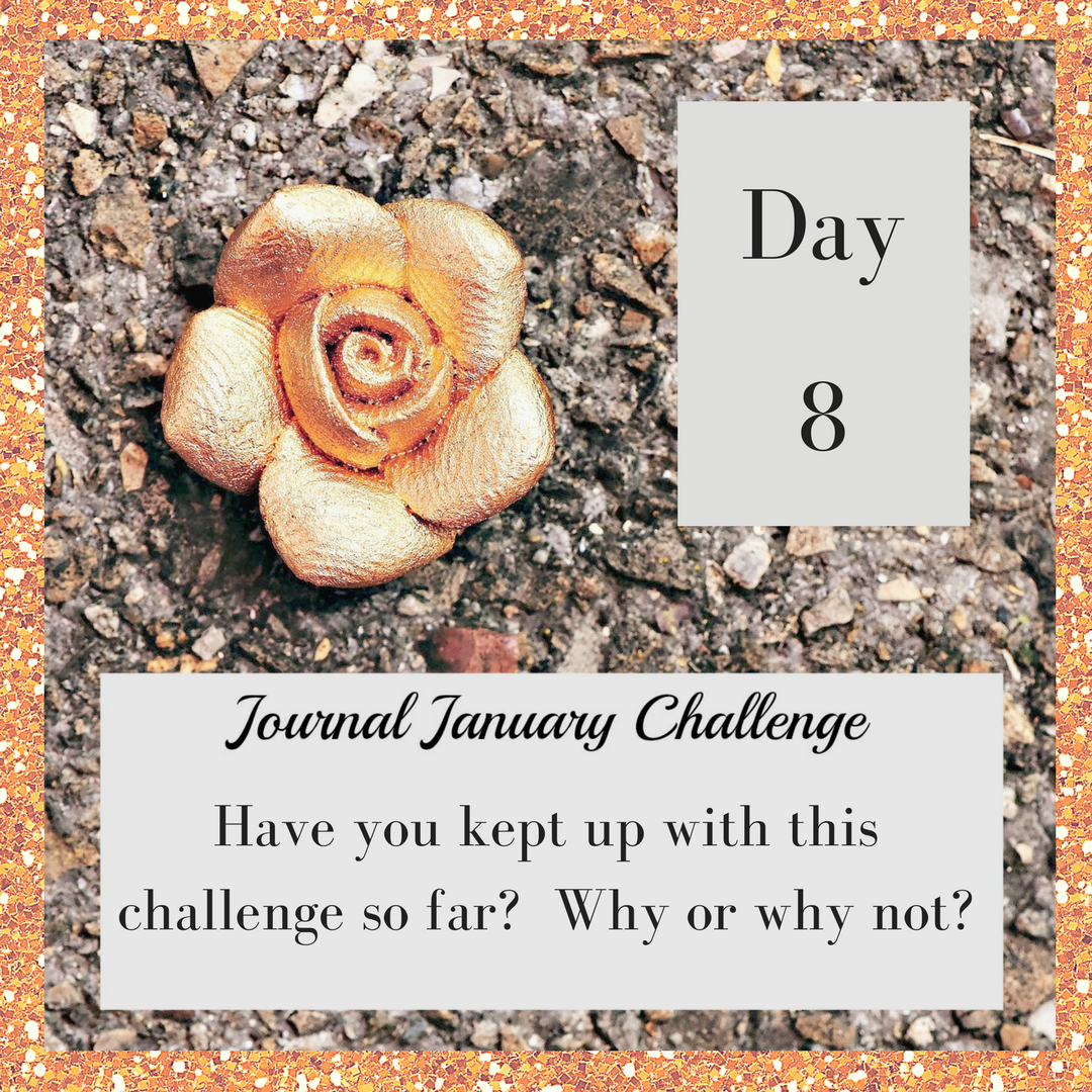 JournalJanuary8.png