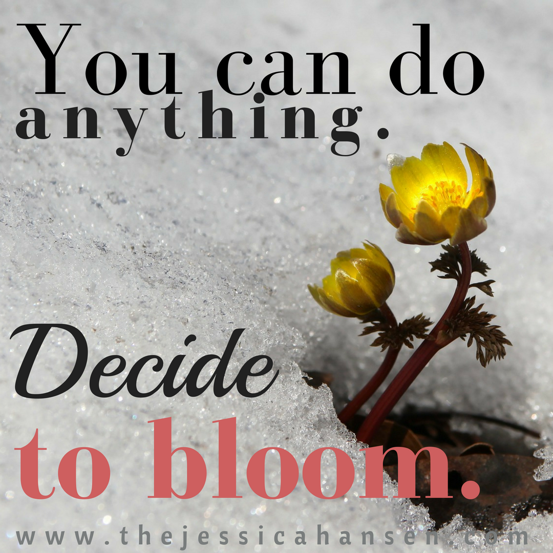 You can do anything. Decide to bloom.
