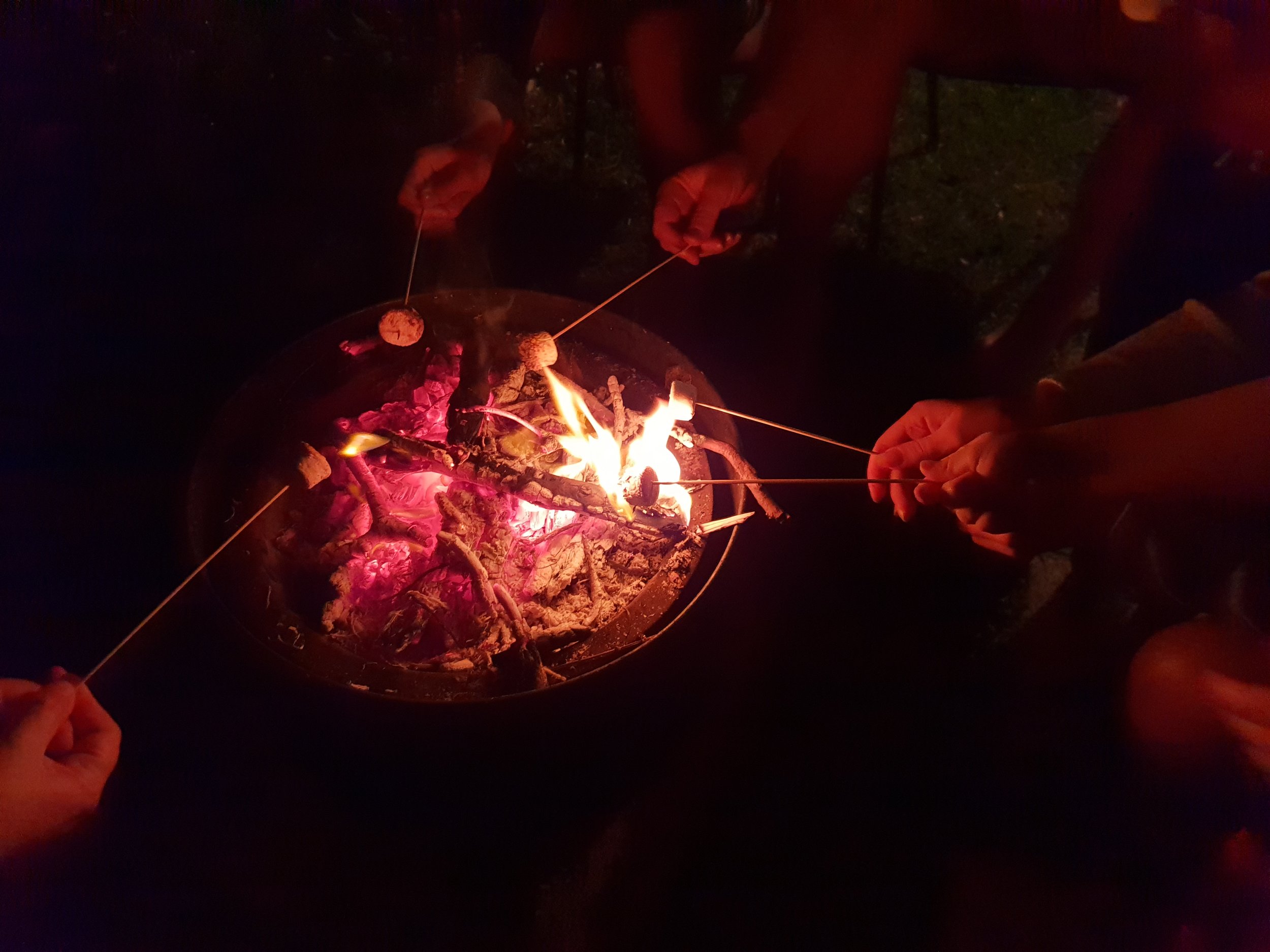 Cooking marshmallows over a backyard fire is always a winner