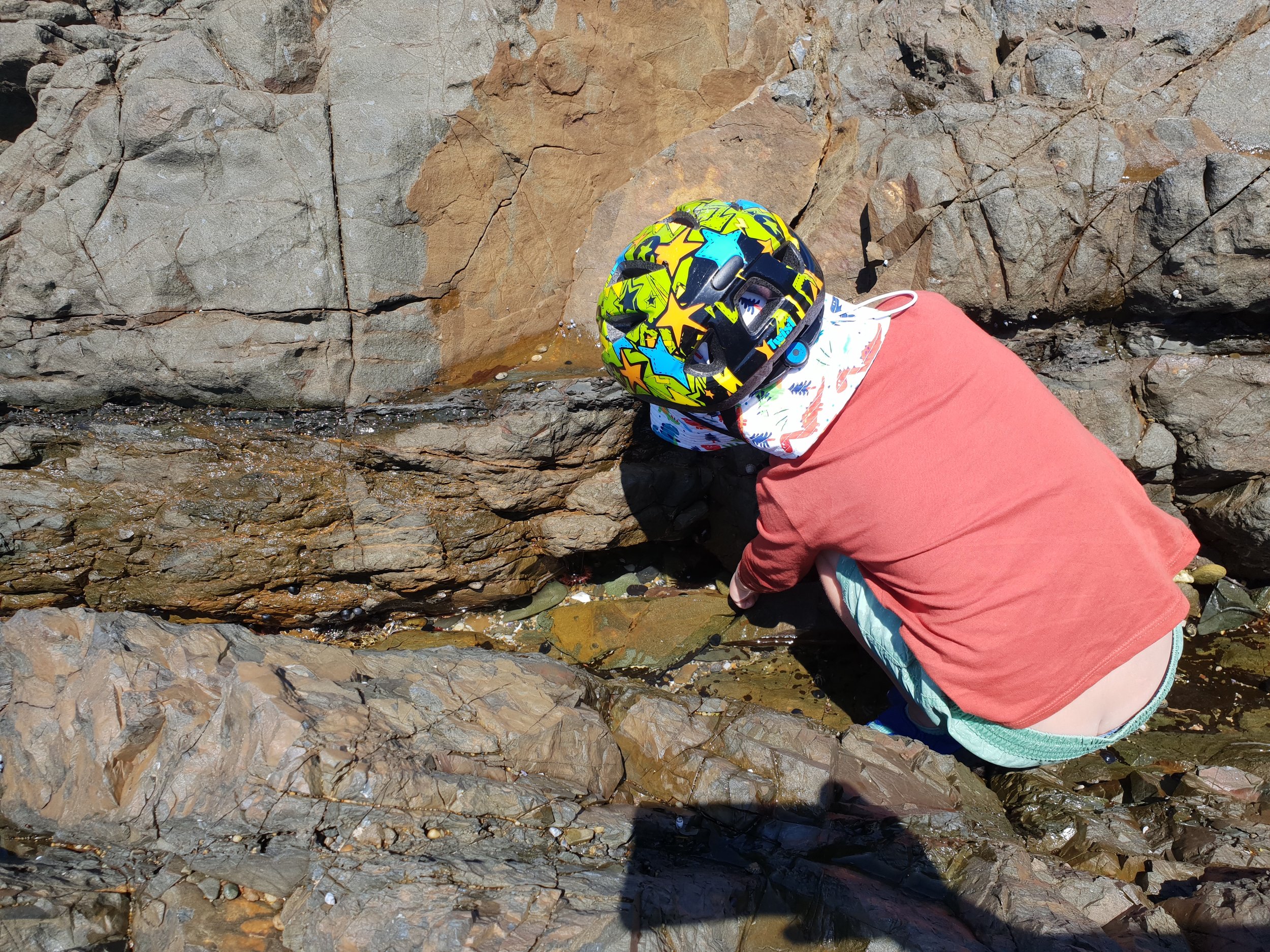 Endless entertainment of rockpools