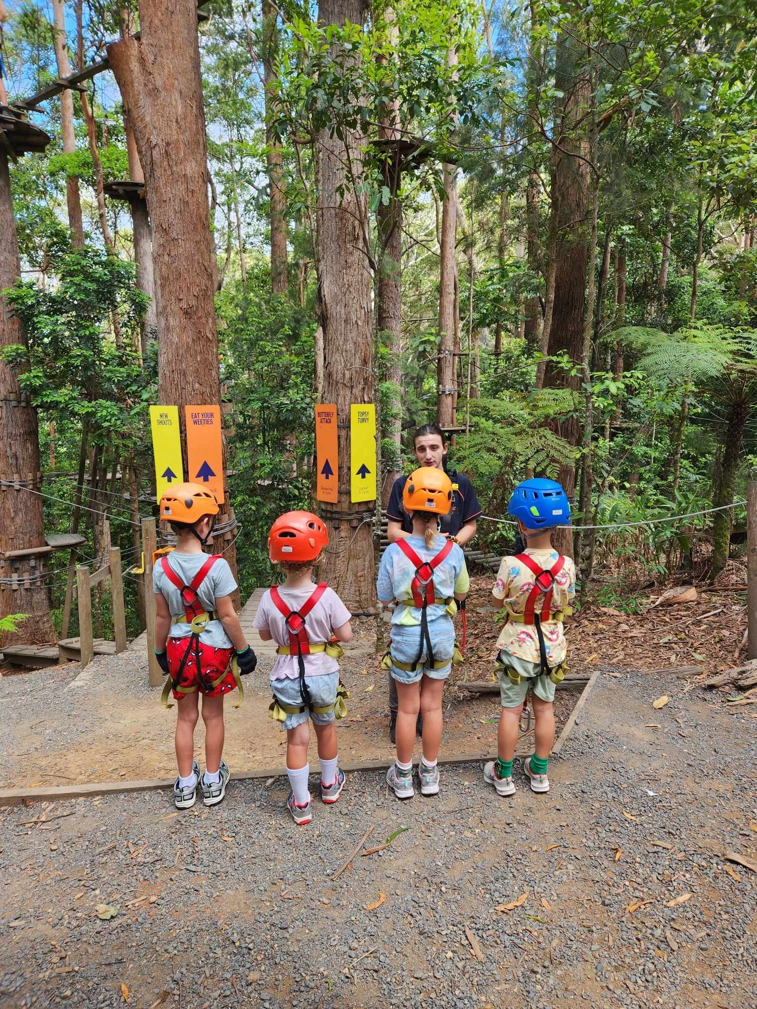 A group of kids getting briefed at Treetops Coffs Harbour