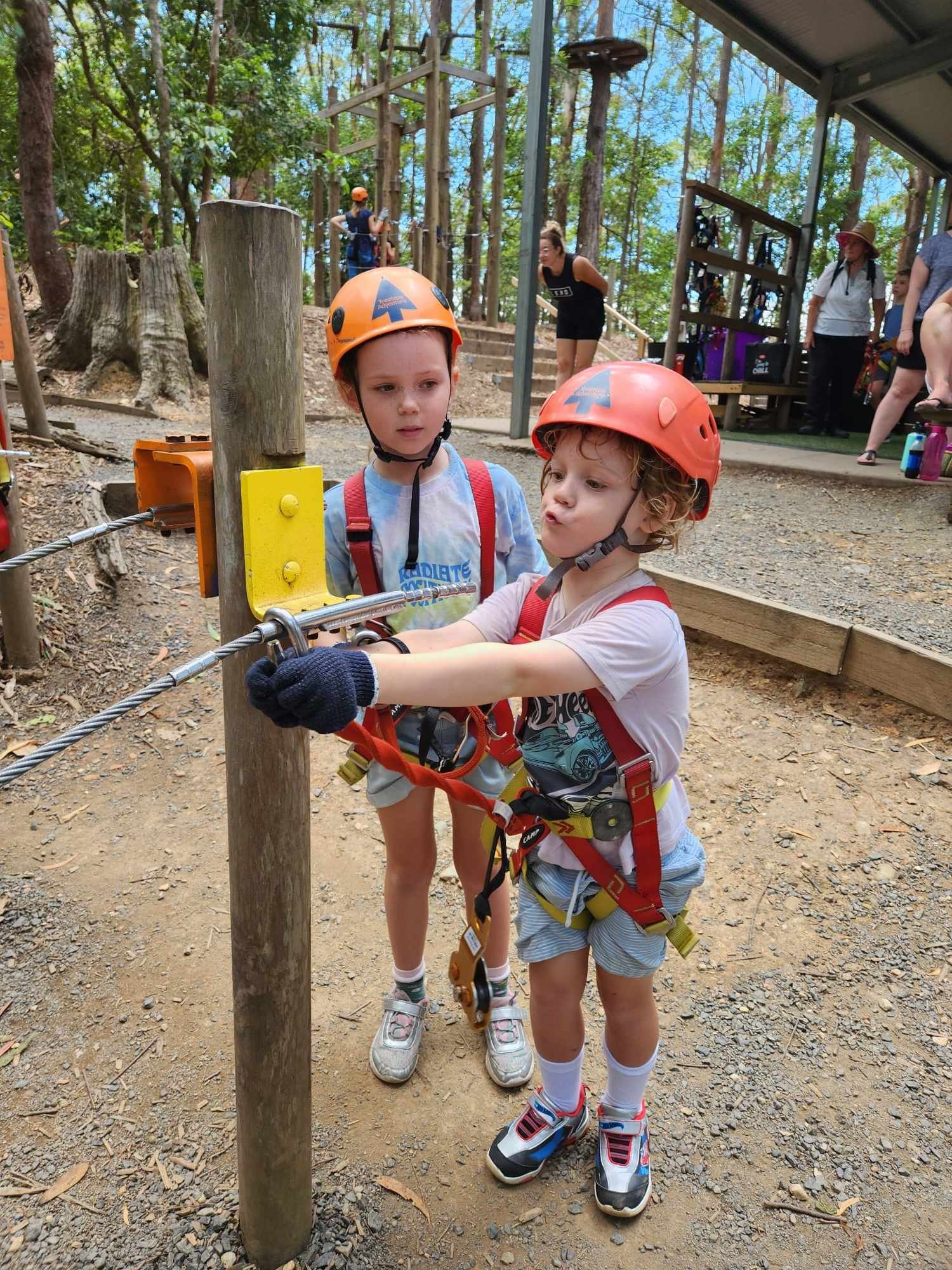 A 5 year old learning to use the safety gear at Treetops Coffs