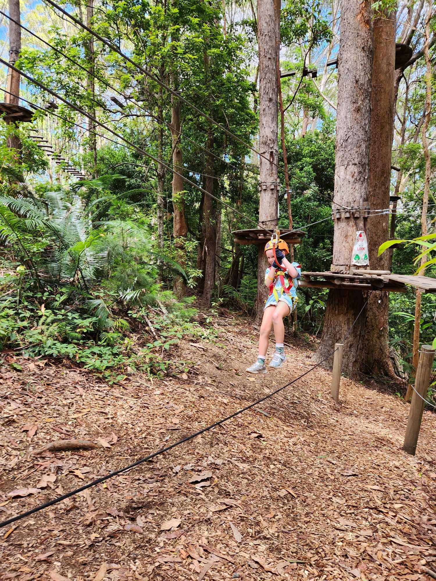 The beginner zipline for ages 3+ at Treetops Coffs