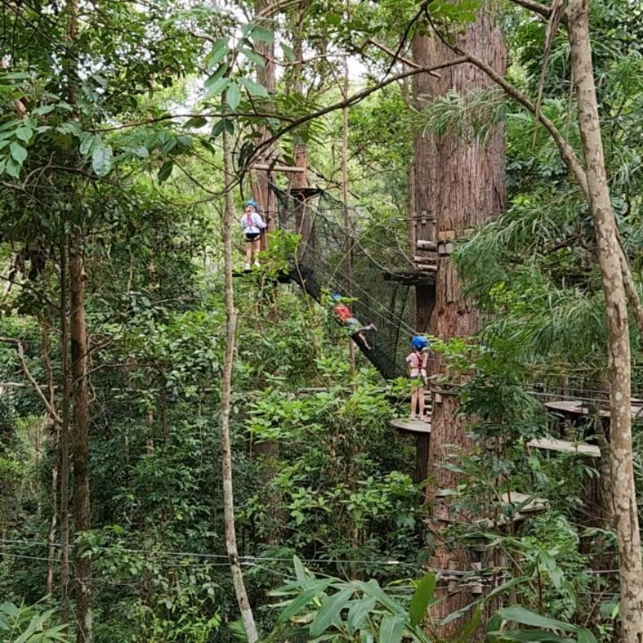 Tips for visiting @treetopsadventureaust Coffs Harbour with young kids (aged 3-7)...
1) Arrive for the first session of the day to have the courses to yourselves.
2) Pack snacks and water for the kids, then they will keep going the full time (and get