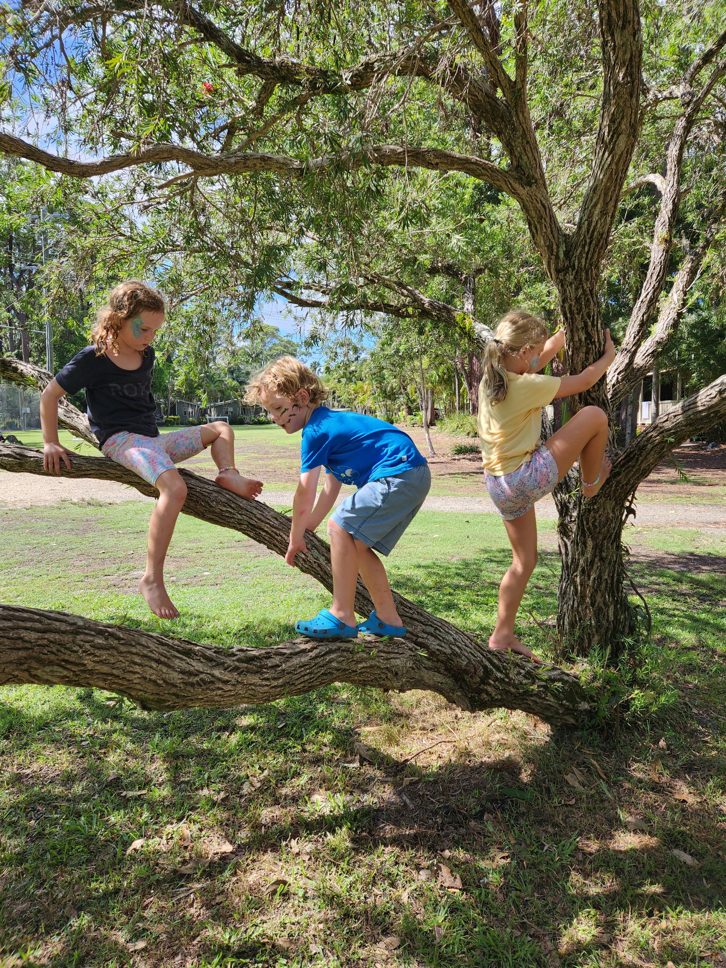 The beauty of camping - kids have time to do simple things like climbing trees