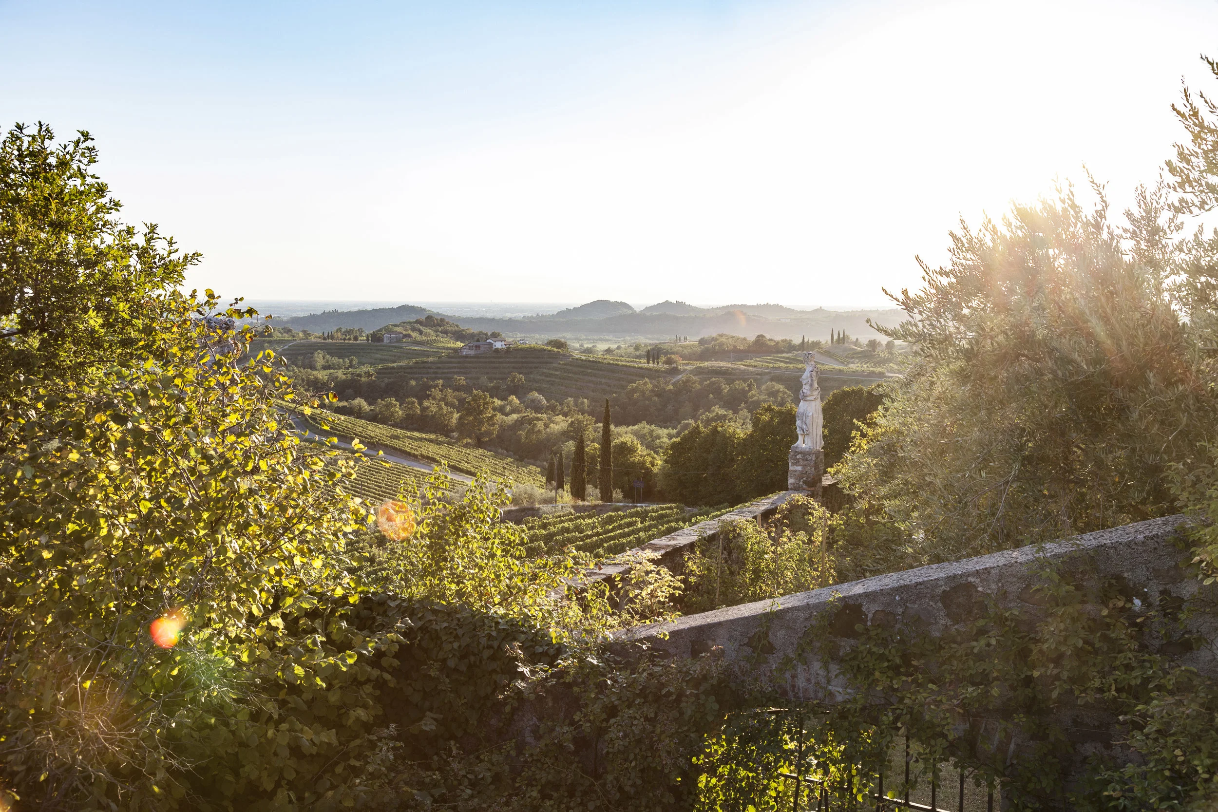 FRIULI VIEWB.jpg