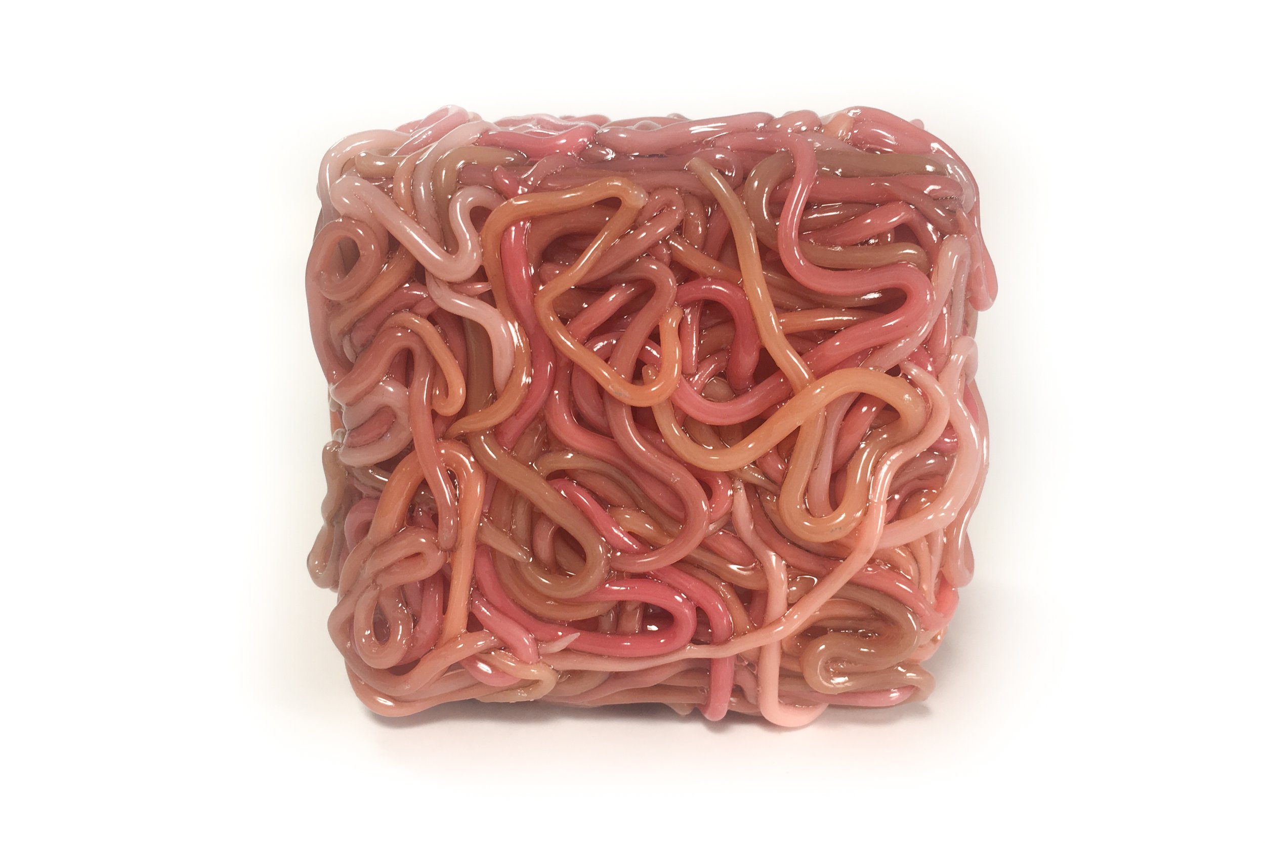  Worm Cube, 2021. Polymer clay and acrylic. 