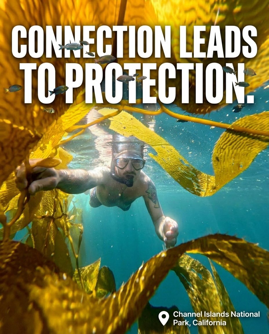 Connection leads to Protection. Our world needs it now more than ever. I&rsquo;m a huge advocate of getting people to discover their own connection with the natural world because empathy usually only starts when you have a relationship to something. 