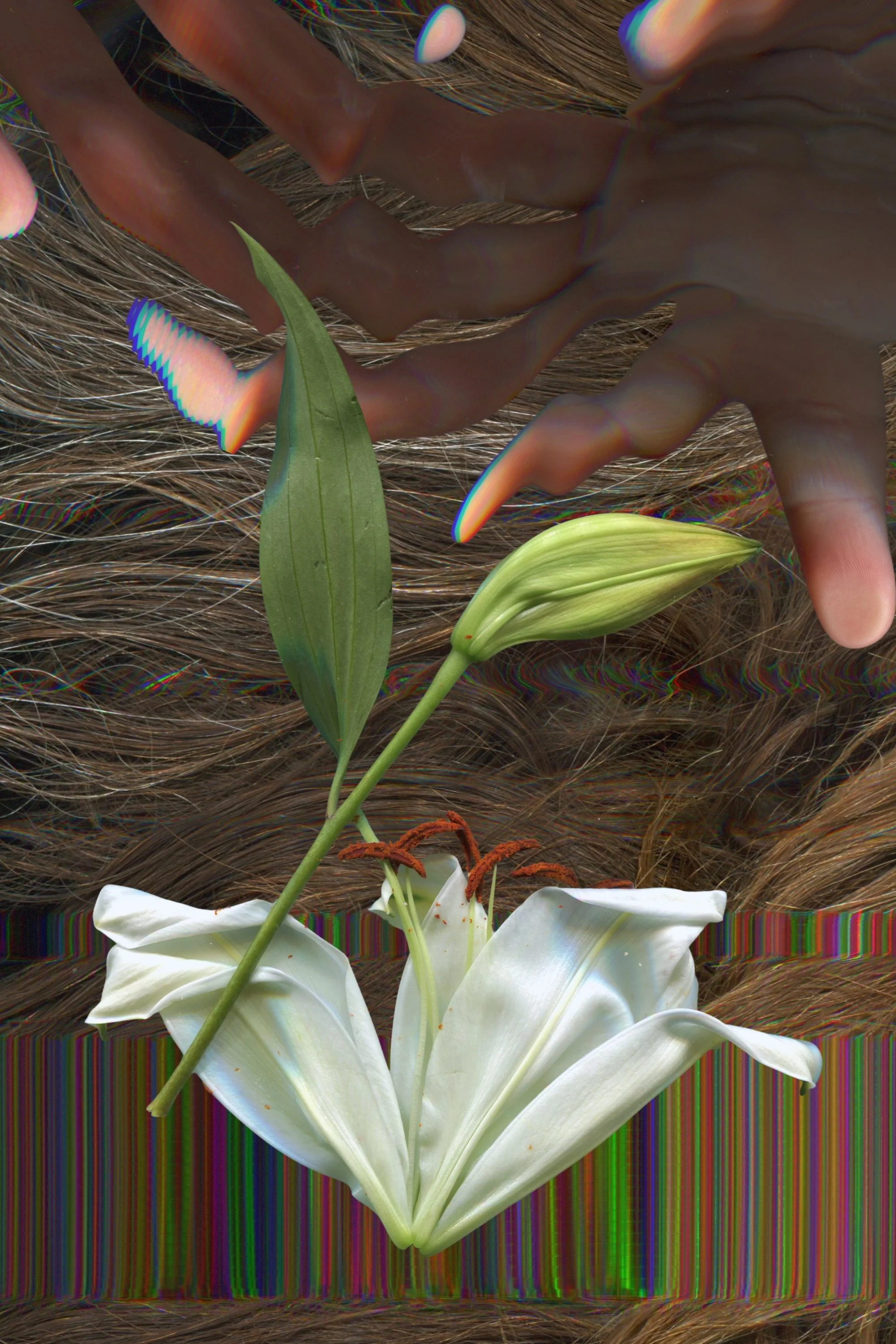 Allergies.jpg