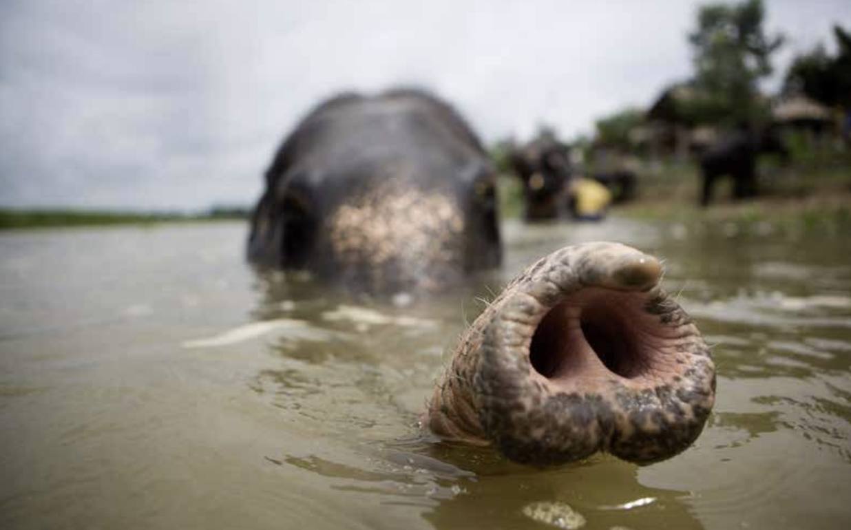 Screenshot 2025-07-23 at 4.19.37 PM.png