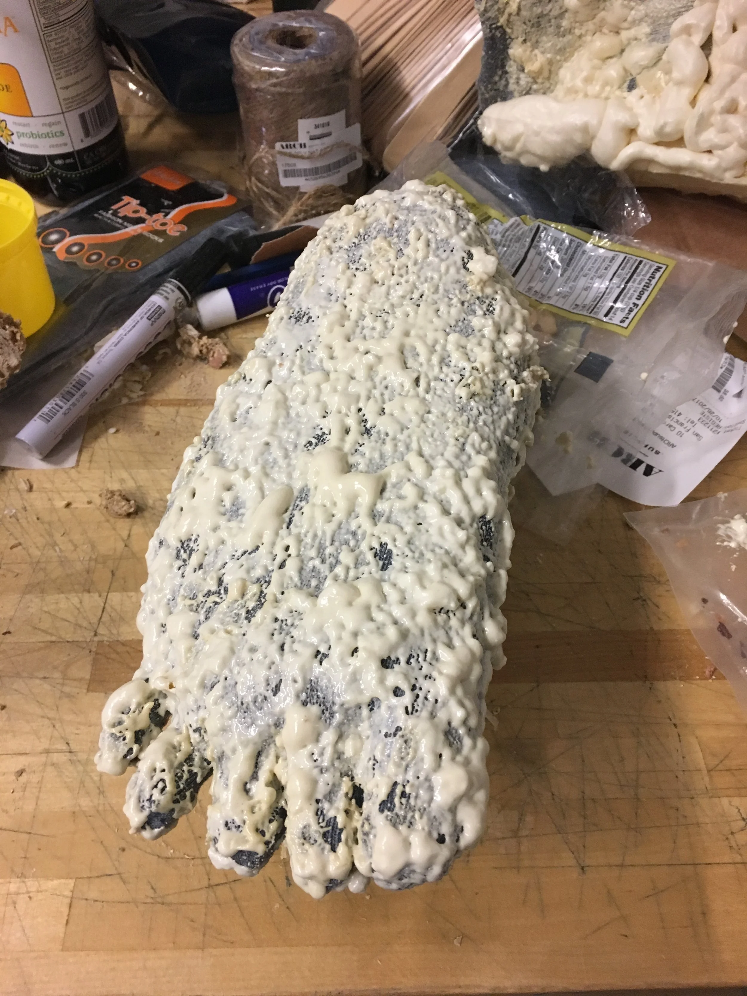 Expanding Foam.JPG