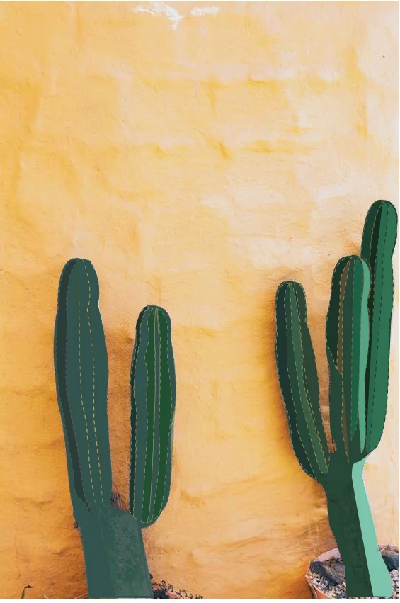  Cabos 