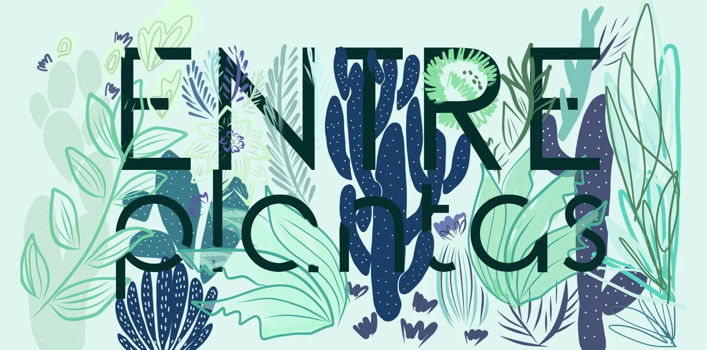 plantas.jpg