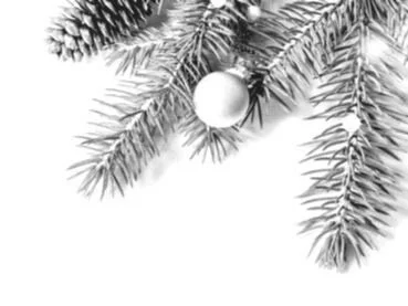 Black & White Finance - Merry Christmas.jpg