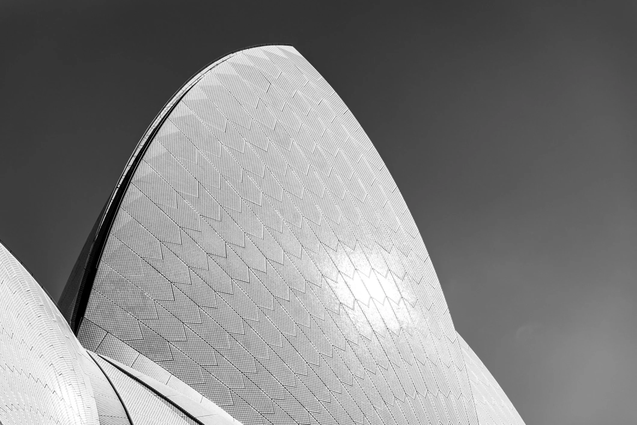 Black and white photo of a modern architectural building with a curved, textured façade and a sharp point at the top, against a clear sky.