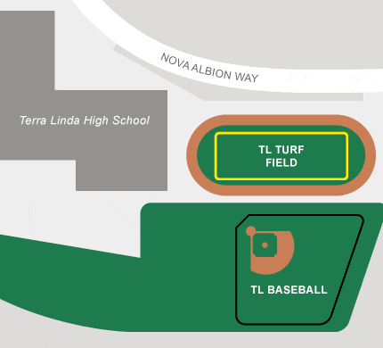 terralinda_field.gif