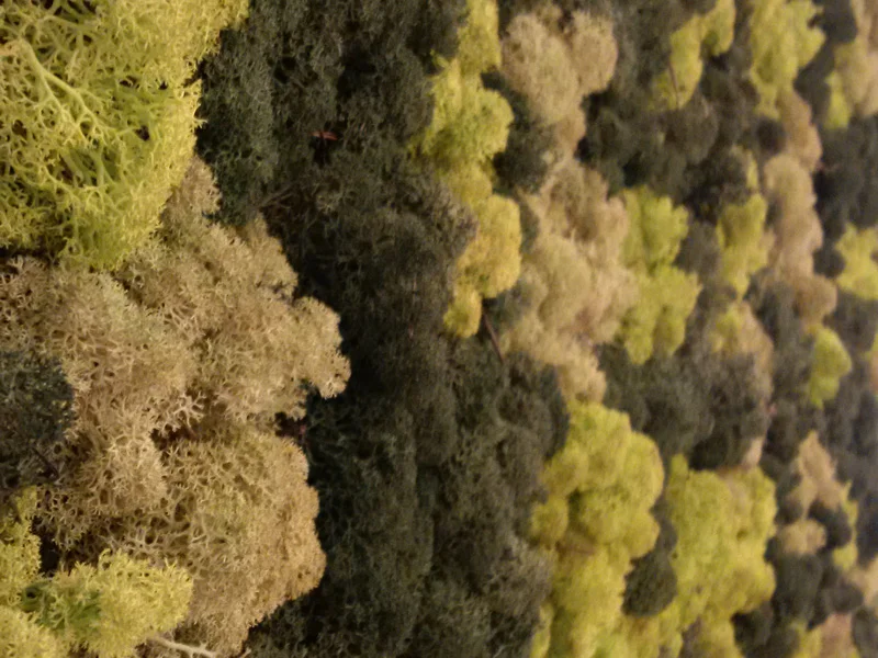 HSBC_Moss.jpg