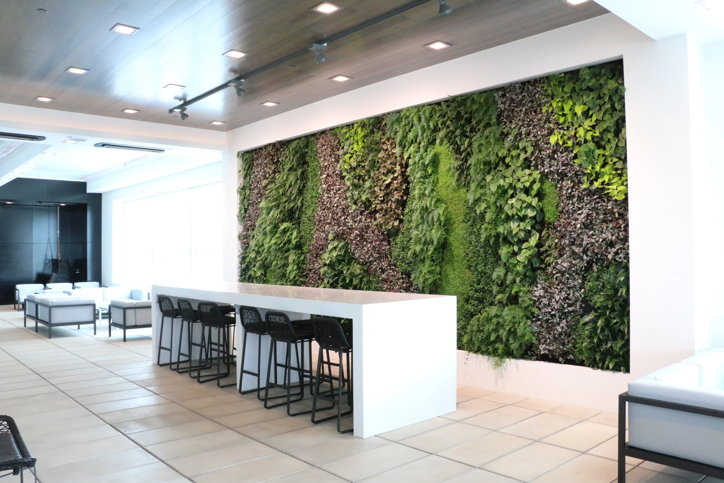 Living Wall in Waiting Area, New Zealand